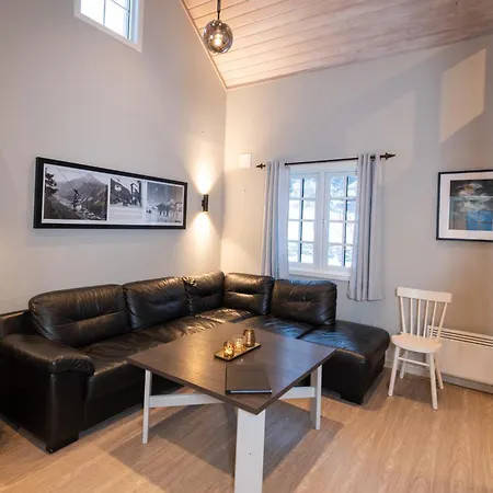 Hytteby Рьюкан